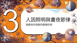 現代建築照明的科學