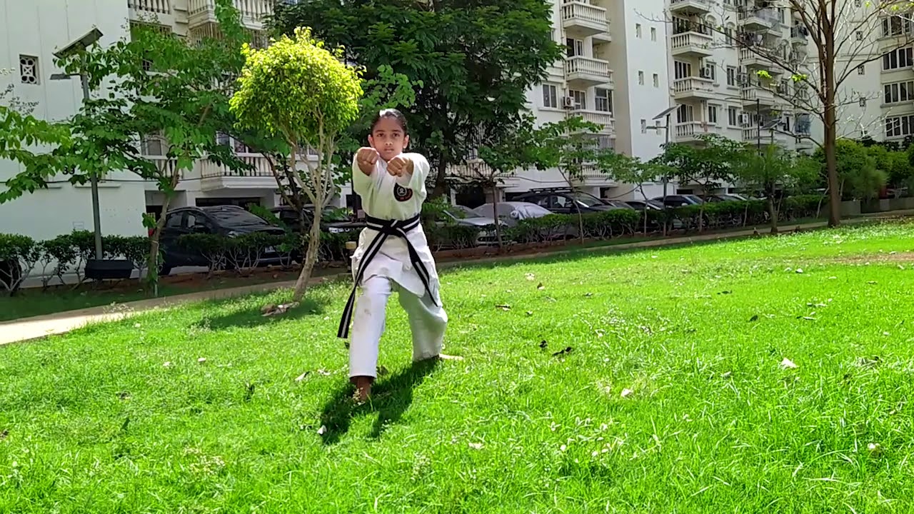 Lee Martial Arts AcademyGojuRyu Kata Saifa YouTube