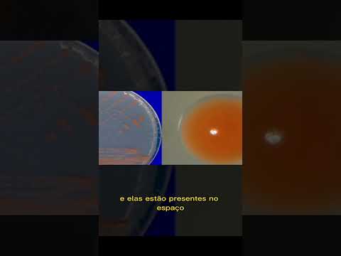 Sabe o que eh vida? Quer saber? Veja aí