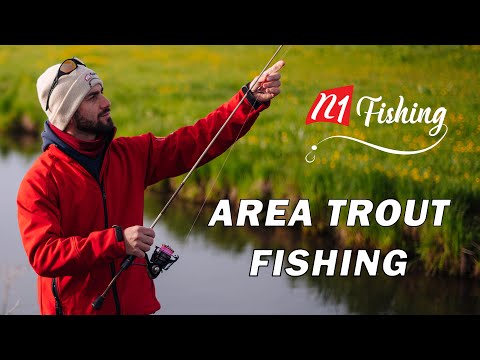 საღამოს ტბის ტურნირი Area Trout Fishing