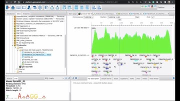 Search for TFBS in FASTA sequences