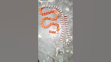 Asmr | Domino Effect Taking Over The Internet #448