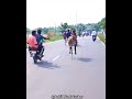 💥தனிக்காட்டு ராஜா👑🔥#horse#horserace#horseracing#horseriding#reklarace#rekla#reklam#jallikattu#horses