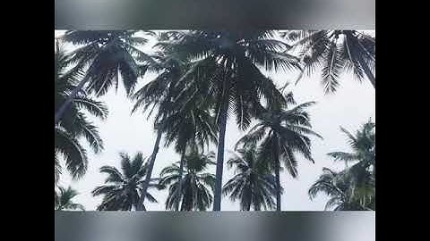 DRY RUN ON MODULAR LEARNING DELIVERY/San Antonio ELEMENTARY SCHOOL