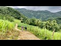 MAY NABILI KAMING BAKA PARA SA NEW AREA NG FARM | BUHAY PROBINSYA