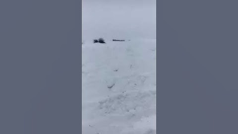 Cat Dozer D8T / opening road