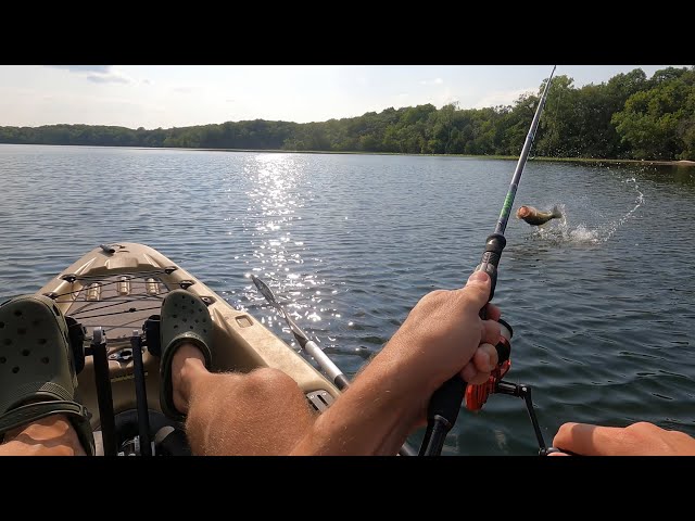 Monster bass eats swim jig!