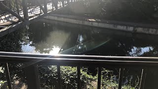 ME’s Office identifies body found in San Antonio River near King William District