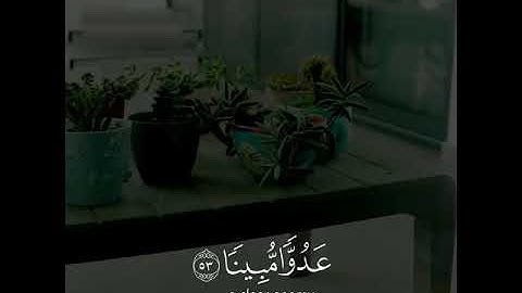 قرآن الكريم بصوت ماهر المعيقلي اجمل حالات واتس اب دينية سورة الإسراء فيديو قصيره 🤍🌿