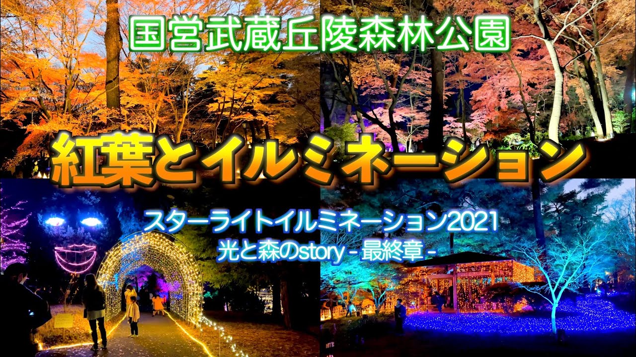 紅葉とイルミネーション 埼玉 スターライトイルミネーション 国営武蔵丘陵森林公園 Musashi Kyuryo National Goverment Park Illuminations Youtube