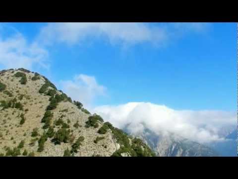 Γυπαετος ( Cretan