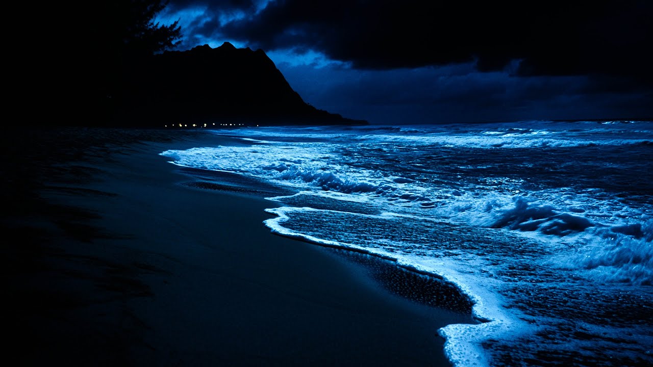 Fall Asleep In Under 3 Minutes - Peaceful Sleep With Most Relaxing Nature Sounds At Night