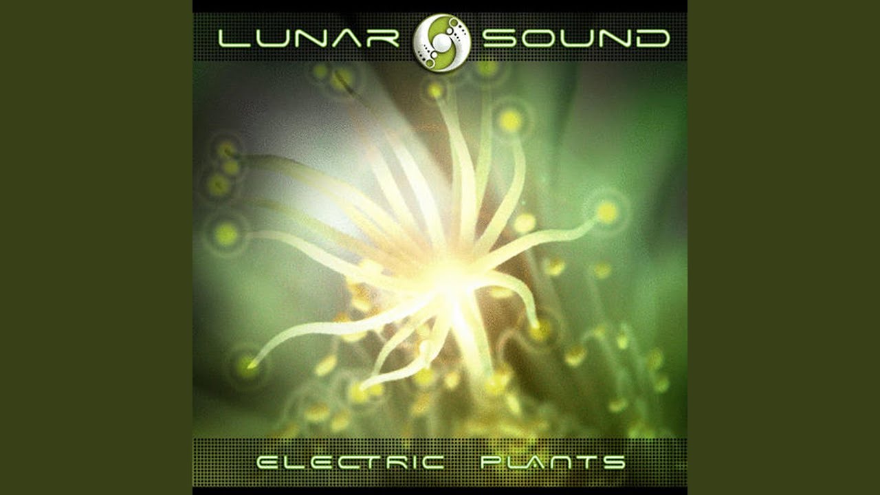 在 YouTube 上觀看「Chill e」 在 YouTube 上觀看「Chill e」