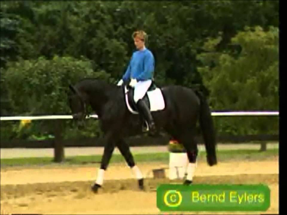 Horses Airplanes YouTube