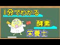【１分でわかる】酵素【解説講座】