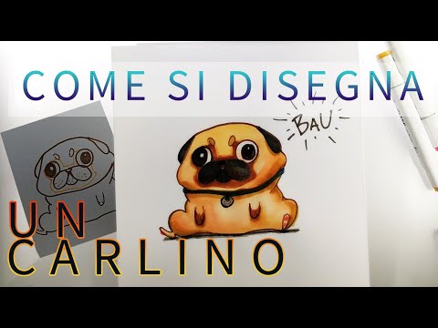 Video: Come Si Disegnano I Carlini