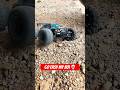 Best RC Monster Truck With Highest Speed Available On Amazon #rcmonstertruck #rccarsobsession