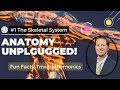 Top 10 Fun Facts & Mnemonics for Learning the Skeletal System | Anatomy Unplugged!