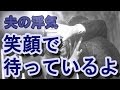 【夫の浮気】再婚を聞きつけた夫「君との思い出の場所で、笑顔で待っているよ」