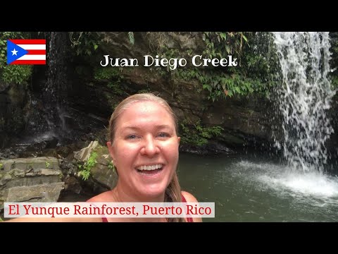 Hiking Juan Diego Creek in El Yunque Rainforest | Puerto Rico Travel