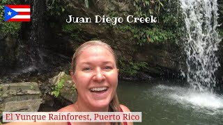 Hiking Juan Diego Creek in El Yunque Rainforest | Puerto Rico Travel