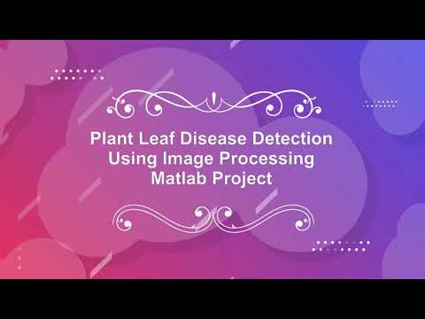 Plant Disease Classification Using Machine Learning | With Source Code | Matlab Project