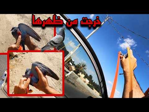 العيش في البريه على صيد الحمام الجزء 19 صيد وطبخ