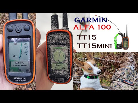 Видео: Обзор комплекса слежения за собаками GARMIN ALFA 100 с ошейниками ТТ15/ТТ15 mini