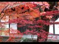 2010 京都紅葉 燃える秋.wmv