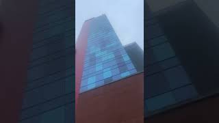 Celebrity #downtown at Wayne county #jail  visiting mafioso !! Profile