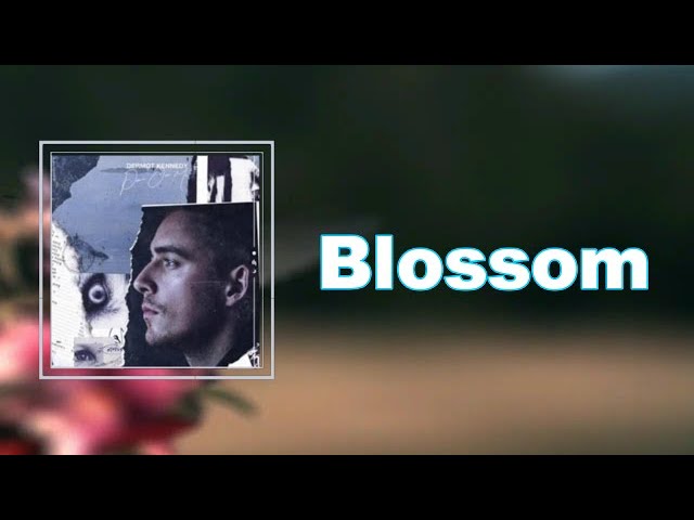 Dermot Kennedy - Blossom (Lyrics)