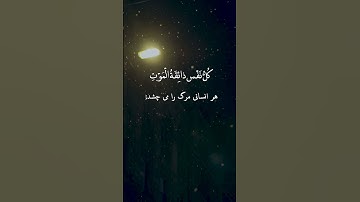 آیاتی از قرآن که انسان را به فکر فرو می برد #قرآن #تلاوات #quran