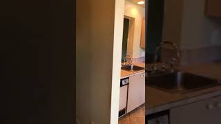 2339 SW 15th st, Deerfileld Beach, FL walkthrough video