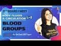 Body Fluids & Circulation L-2 | Blood Groups | Class 11 | NEET Biology Lectures | Vedantu