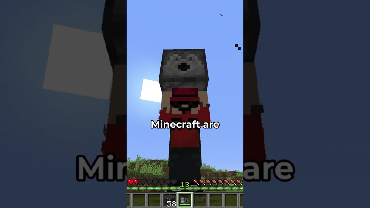 Minecraft Needs More Chaotic Features!!  #minecraft