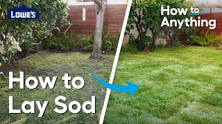 How to Lay Sod | How To Anything