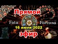 Ситуация по Украине 16 июля 2022