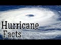 Hurricane Knowledge Quiz