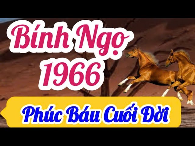 Outline Video Luận Bàn Bính Ngọ 1966 Về Cuối Đời Sẽ Biến Đổi Như Thế Nào, Cần Điều Chỉnh Gì Để Có Hậu Vận Tốt Đẹp