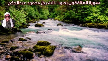 سورة المنافقون بصوت الشيخ/ محمود عبد الحكم - Surat Al Munafiqun