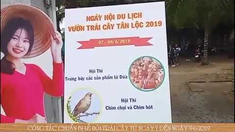 Sẵn sàng cho lễ hội trái cây ở cù lao Tân Lộc 2019 | Quận Thốt Nốt