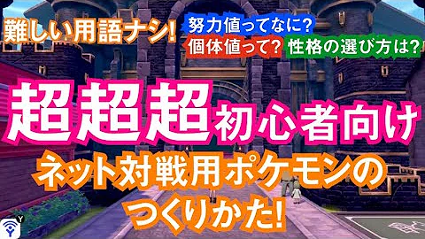 ポケットモンスターソード初心者におすすめのやり方