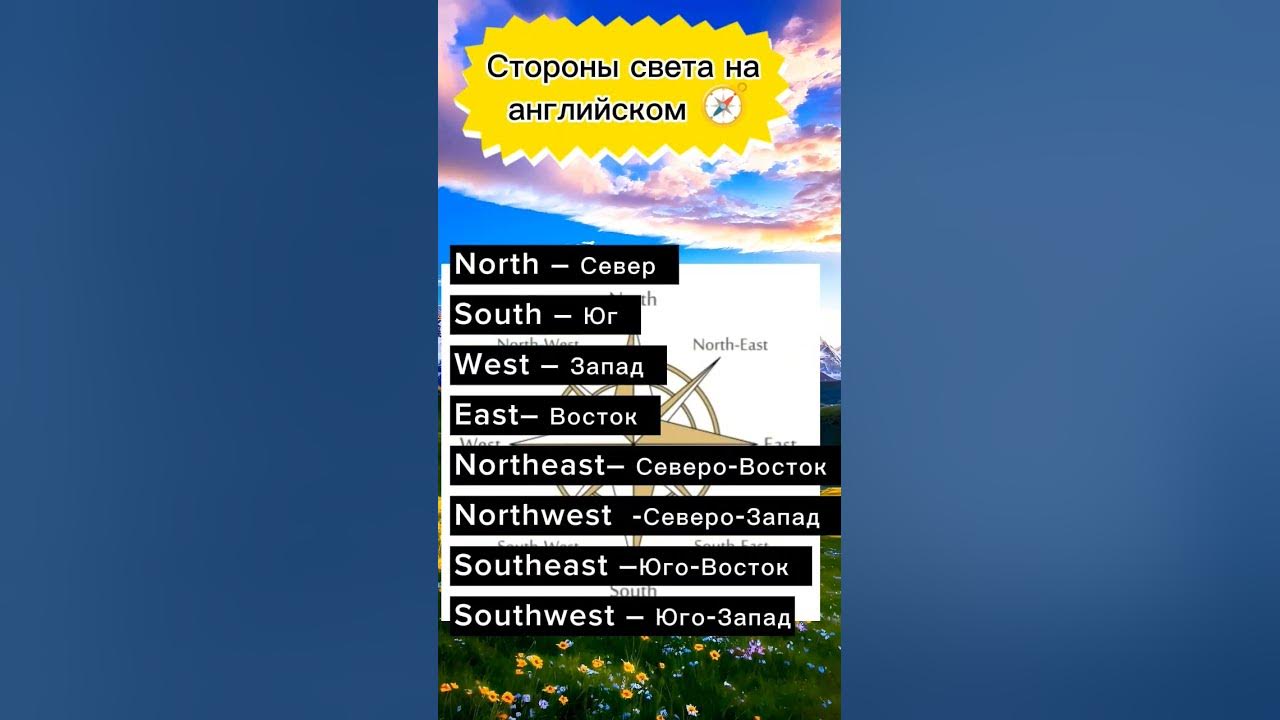 Стороны света на английском #shots #английский #english # ...
