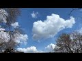 Reset Your Mind: 10 Minute of Peace / Birds chirping  / The noise of the park