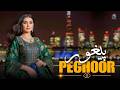 Peghoor | ZK Music | Ashna Ghwarama Tor | Pashto New Song 2026 | Afghani | پیغور | HD Video