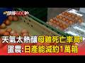 蛋荒又來了？天氣太熱釀母雞死亡率高！蛋農：日產能減約1萬箱【頭條600秒】