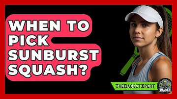 When To Pick Sunburst Squash? - The Racket Xpert