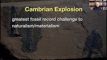 2022-01-02 Paradoxes Class