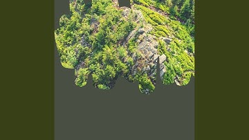 Pulsating Moods for Unwinding Evening Sessions