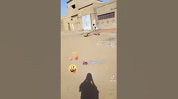 تجر الموات وقوف الجن 